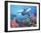 Low Angle View of a Shark Swimming Underwater, Indo-Pacific Ocean-null-Framed Photographic Print