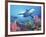 Low Angle View of a Shark Swimming Underwater, Indo-Pacific Ocean-null-Framed Photographic Print