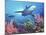 Low Angle View of a Shark Swimming Underwater, Indo-Pacific Ocean-null-Mounted Photographic Print