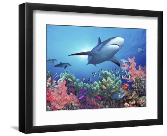Premium Photographic Print, , large