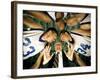 Low Angle View of a Team and Their Coach in a Huddle-null-Framed Photographic Print