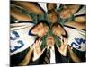 Low Angle View of a Team and Their Coach in a Huddle-null-Mounted Photographic Print