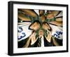 Low Angle View of a Team and Their Coach in a Huddle-null-Framed Photographic Print