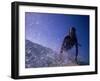 Low Angle View of a Teenage Girl Riding a Surfboard-George Silk-Framed Photographic Print