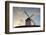 Low angle view of a traditional windmill, Don Quixote's Windmills, Consuegra, Toledo Province, C...-null-Framed Photographic Print