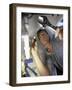 Low Angle View of a Young Man Checking the Plumbing with a Flashlight-null-Framed Photographic Print