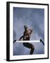 Low Angle View of a Young Man Jumping over a Hurdle-null-Framed Premium Photographic Print