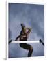 Low Angle View of a Young Man Jumping over a Hurdle-null-Framed Photographic Print