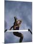 Low Angle View of a Young Man Jumping over a Hurdle-null-Mounted Photographic Print