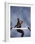 Low Angle View of a Young Man Jumping over a Hurdle-null-Framed Photographic Print