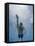 Low Angle View of a Young Man Swimming Underwater-null-Framed Stretched Canvas