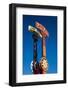 Low angle view of amusement park sign, Eilat, Negev, Red Sea, Israel-null-Framed Photographic Print