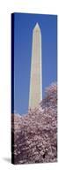 Low Angle View of an Obelisk, Washington Monument, Washington DC, USA-null-Stretched Canvas