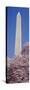 Low Angle View of an Obelisk, Washington Monument, Washington DC, USA-null-Stretched Canvas