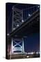 Low angle view of bridge at night, Philadelphia, Pennsylvania, USA-null-Stretched Canvas