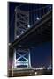 Low angle view of bridge at night, Philadelphia, Pennsylvania, USA-null-Mounted Photographic Print