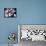 Low Angle View of Children of a Baseball Team in a Huddle-null-Framed Stretched Canvas displayed on a wall