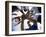 Low Angle View of Children of a Baseball Team in a Huddle-null-Framed Premium Photographic Print