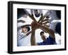 Low Angle View of Children of a Baseball Team in a Huddle-null-Framed Premium Photographic Print