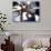 Low Angle View of Children of a Baseball Team in a Huddle-null-Photographic Print displayed on a wall