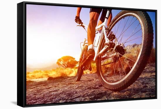 Low Angle View Of Cyclist Riding Mountain Bike On Rocky Trail At Sunrise-warrengoldswain-Framed Stretched Canvas