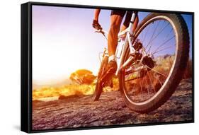 Low Angle View Of Cyclist Riding Mountain Bike On Rocky Trail At Sunrise-warrengoldswain-Framed Stretched Canvas