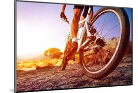 Low Angle View Of Cyclist Riding Mountain Bike On Rocky Trail At Sunrise-warrengoldswain-Mounted Photographic Print