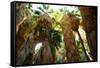 Low Angle View of Palm Trees, Palm Springs, Riverside County, California, USA-null-Framed Stretched Canvas