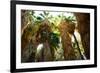 Low Angle View of Palm Trees, Palm Springs, Riverside County, California, USA-null-Framed Photographic Print