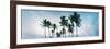 Low Angle View of Palm Trees, Santa Maria Del Mar Beach, Havana, Cuba-null-Framed Photographic Print