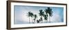 Low Angle View of Palm Trees, Santa Maria Del Mar Beach, Havana, Cuba-null-Framed Photographic Print