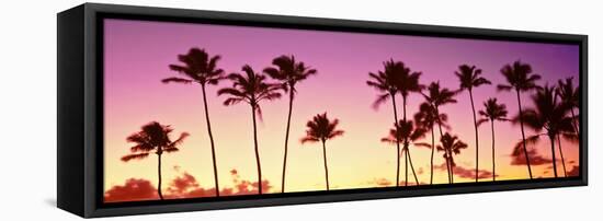 Low Angle View of Palm Trees, Waikiki Beach, Honolulu, Oahu, Hawaii, USA-null-Framed Stretched Canvas