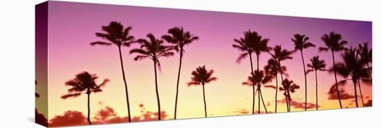 Low Angle View of Palm Trees, Waikiki Beach, Honolulu, Oahu, Hawaii, USA-null-Stretched Canvas