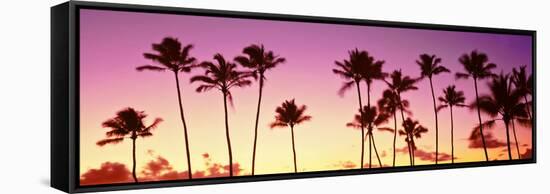Low Angle View of Palm Trees, Waikiki Beach, Honolulu, Oahu, Hawaii, USA-null-Framed Stretched Canvas
