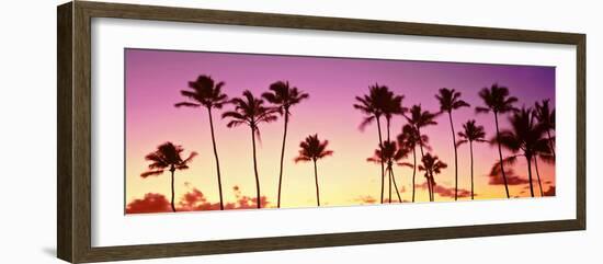 Low Angle View of Palm Trees, Waikiki Beach, Honolulu, Oahu, Hawaii, USA-null-Framed Photographic Print