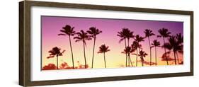 Low Angle View of Palm Trees, Waikiki Beach, Honolulu, Oahu, Hawaii, USA-null-Framed Photographic Print