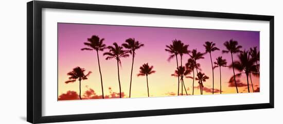 Low Angle View of Palm Trees, Waikiki Beach, Honolulu, Oahu, Hawaii, USA-null-Framed Photographic Print