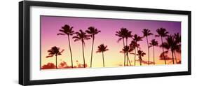 Low Angle View of Palm Trees, Waikiki Beach, Honolulu, Oahu, Hawaii, USA-null-Framed Photographic Print