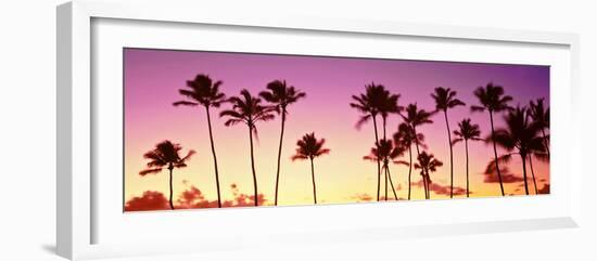 Low Angle View of Palm Trees, Waikiki Beach, Honolulu, Oahu, Hawaii, USA-null-Framed Photographic Print