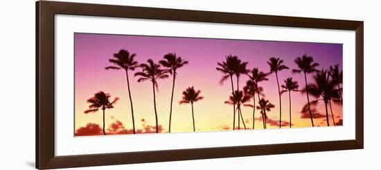 Low Angle View of Palm Trees, Waikiki Beach, Honolulu, Oahu, Hawaii, USA-null-Framed Photographic Print