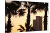 Low angle view of palm trees with office building in the background, Tel Aviv, Israel-null-Stretched Canvas