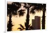 Low angle view of palm trees with office building in the background, Tel Aviv, Israel-null-Framed Photographic Print