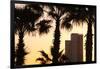 Low angle view of palm trees with office building in the background, Tel Aviv, Israel-null-Framed Photographic Print