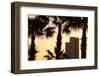 Low angle view of palm trees with office building in the background, Tel Aviv, Israel-null-Framed Photographic Print