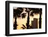 Low angle view of palm trees with office building in the background, Tel Aviv, Israel-null-Framed Photographic Print