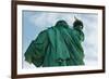 Low angle view of Statue Of Liberty, Manhattan, New York City, New York State, USA-null-Framed Photographic Print