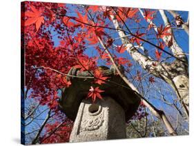 Low Angle View of Stone Lantern and Maple Tree in a Garden at Ritsuin Temple, Satobo, Japan-null-Stretched Canvas