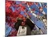 Low Angle View of Stone Lantern and Maple Tree in a Garden at Ritsuin Temple, Satobo, Japan-null-Mounted Photographic Print