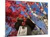 Low Angle View of Stone Lantern and Maple Tree in a Garden at Ritsuin Temple, Satobo, Japan-null-Mounted Photographic Print