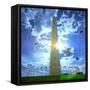 Low Angle View of the Washington Monument, the Mall, Washington Dc, USA-null-Framed Stretched Canvas